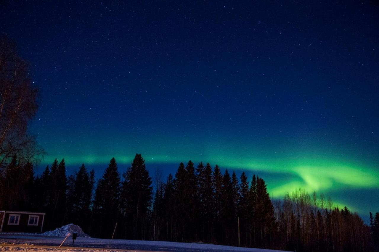 Lappland Pro Natur — Asele — photo 5