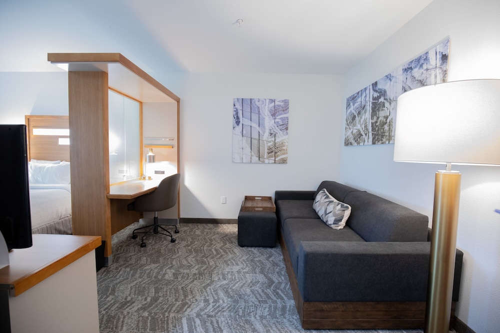 SpringHill Suites by Marriott Baton Rouge Gonzales - photo 13