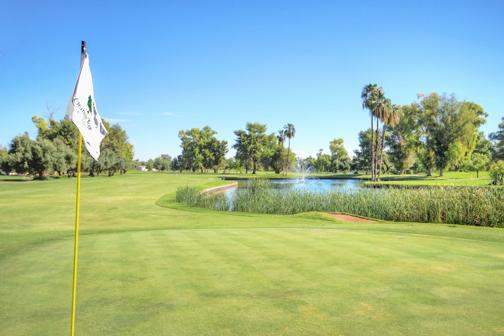 Orange Tree Resort - photo 49