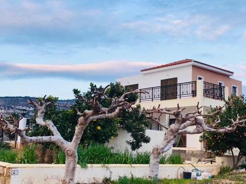 Trouzini Villa 2