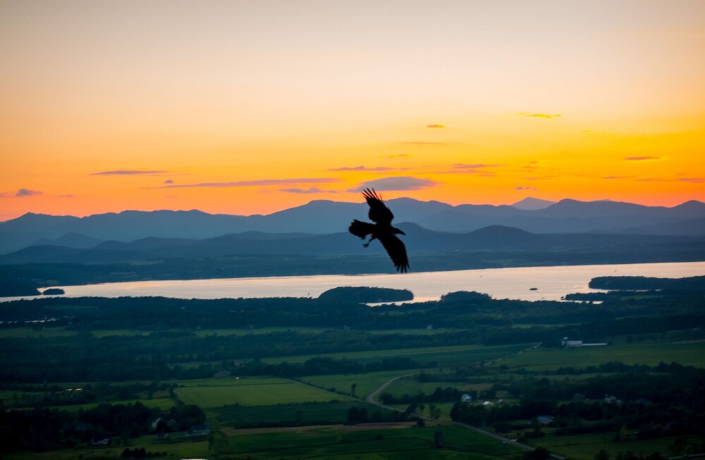 Mt. Philo Inn - photo 133