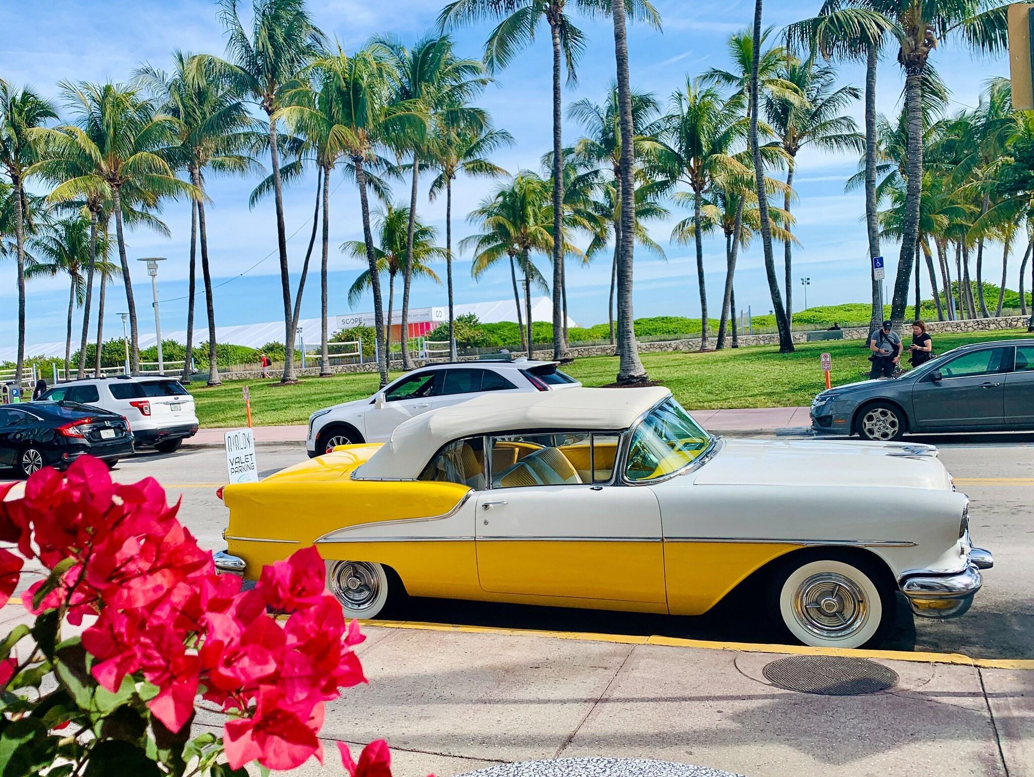 Avalon Hotel - last minute hotel in Miami Beach