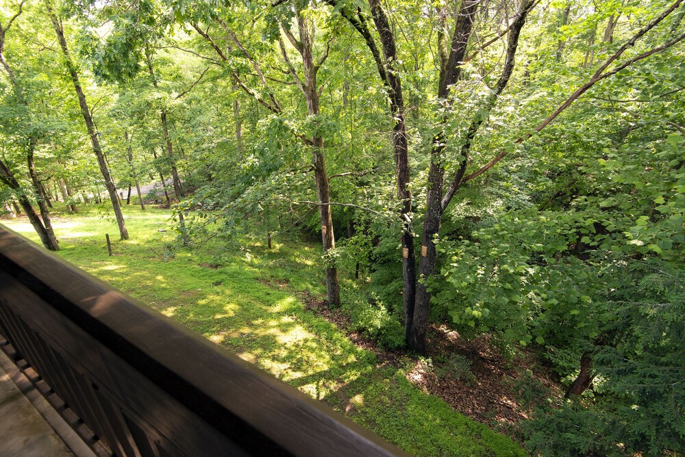 Greenbo Lake State Resort Park - photo 8
