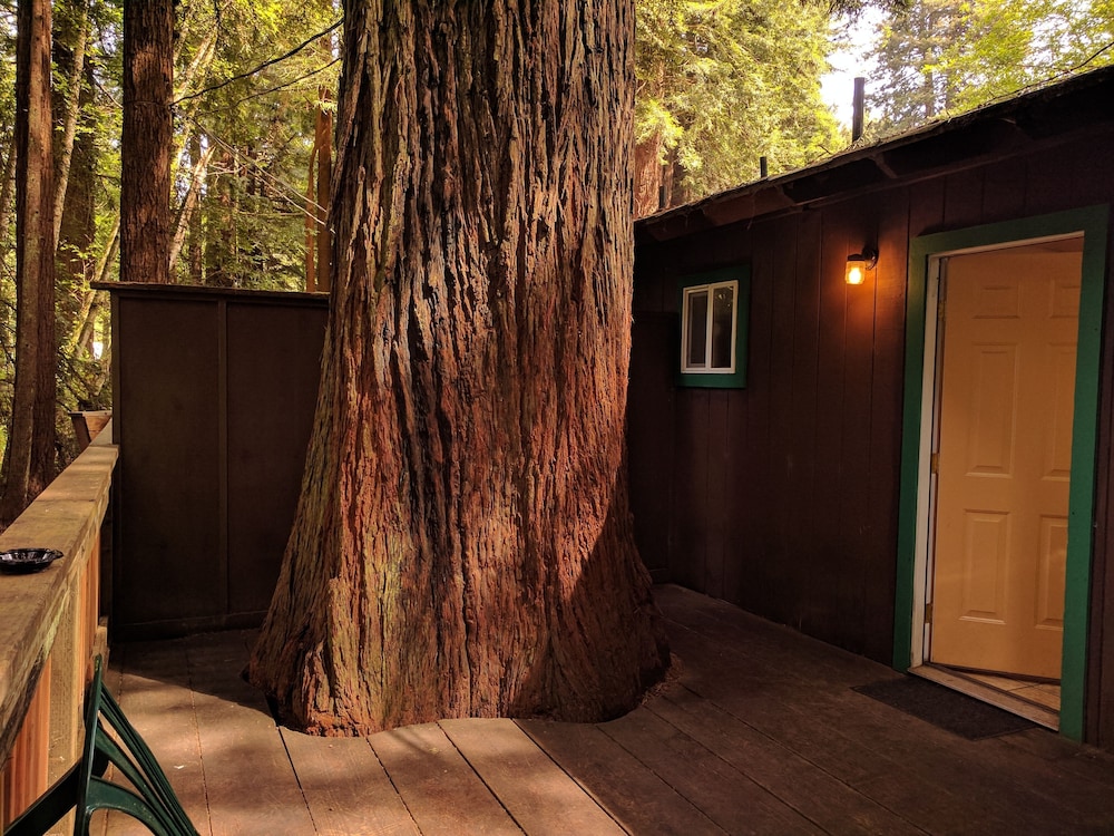Emerald Forest Cabins - photo 77