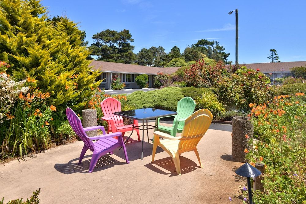 Surf Motel and Gardens - photo 3