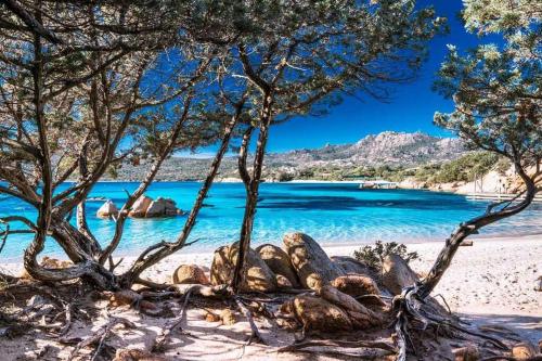 Casa Indipendente nel Cuore della Costa Smeralda Comfort per Famiglie e Gruppi — 4-Star Luxury Hotel in Arzachena, Italy