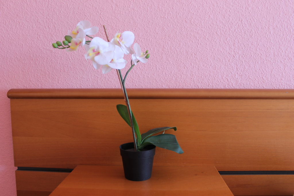 V tsentre Mini Hotel in Arkhangel'sk, Russia