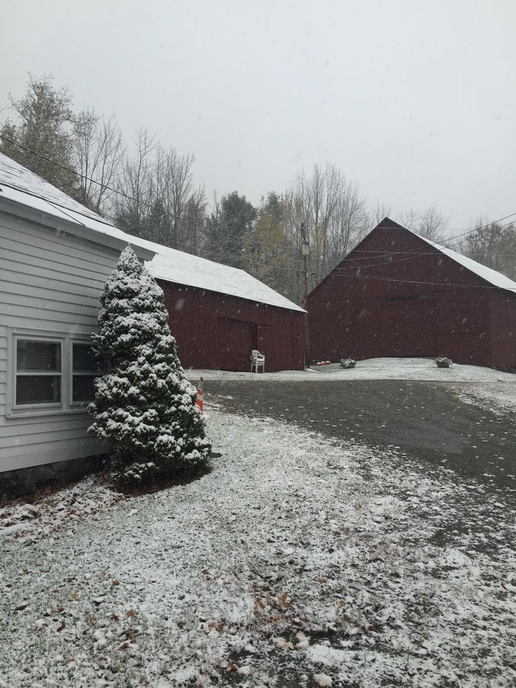 Colonel Williams Inn - photo 4