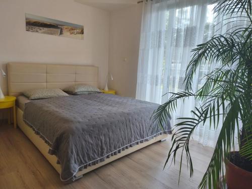 Apartament Nadmorski — 4-Star Luxury Hotel in Swinoujscie, Poland