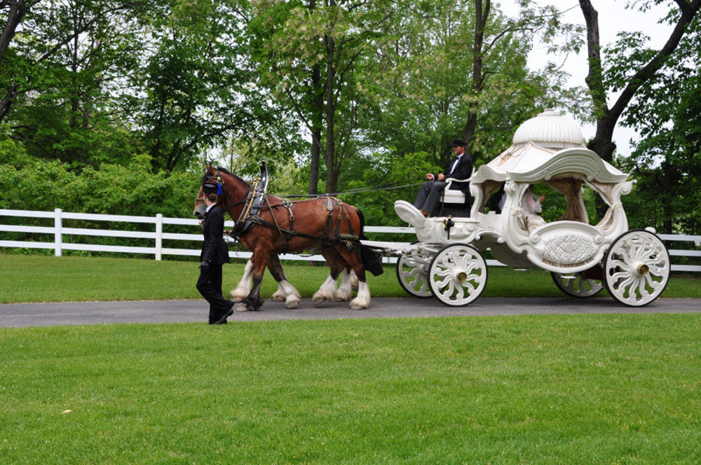 Allegan Country Inn - photo 48