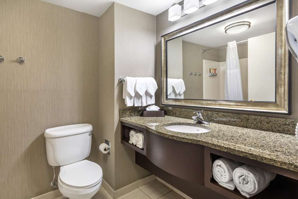 Comfort Inn & Suites Logan International Airport - photo 10