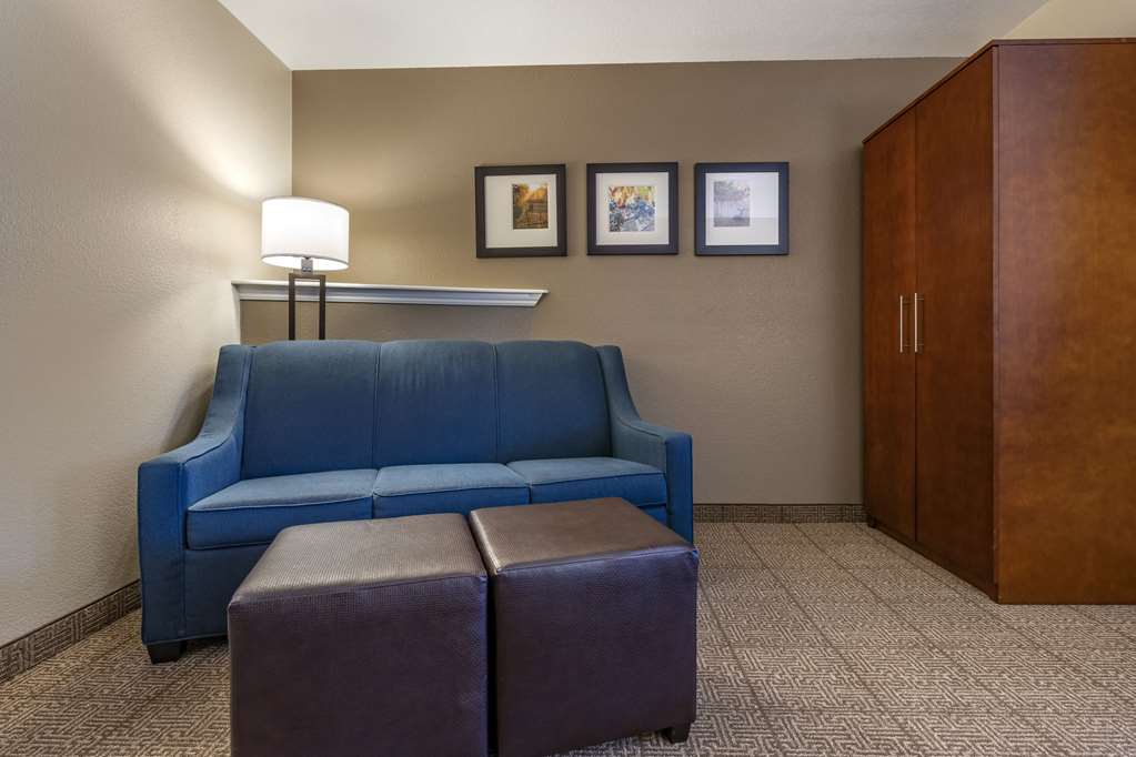 Comfort Inn & Suites Ukiah Mendocino County - photo 27