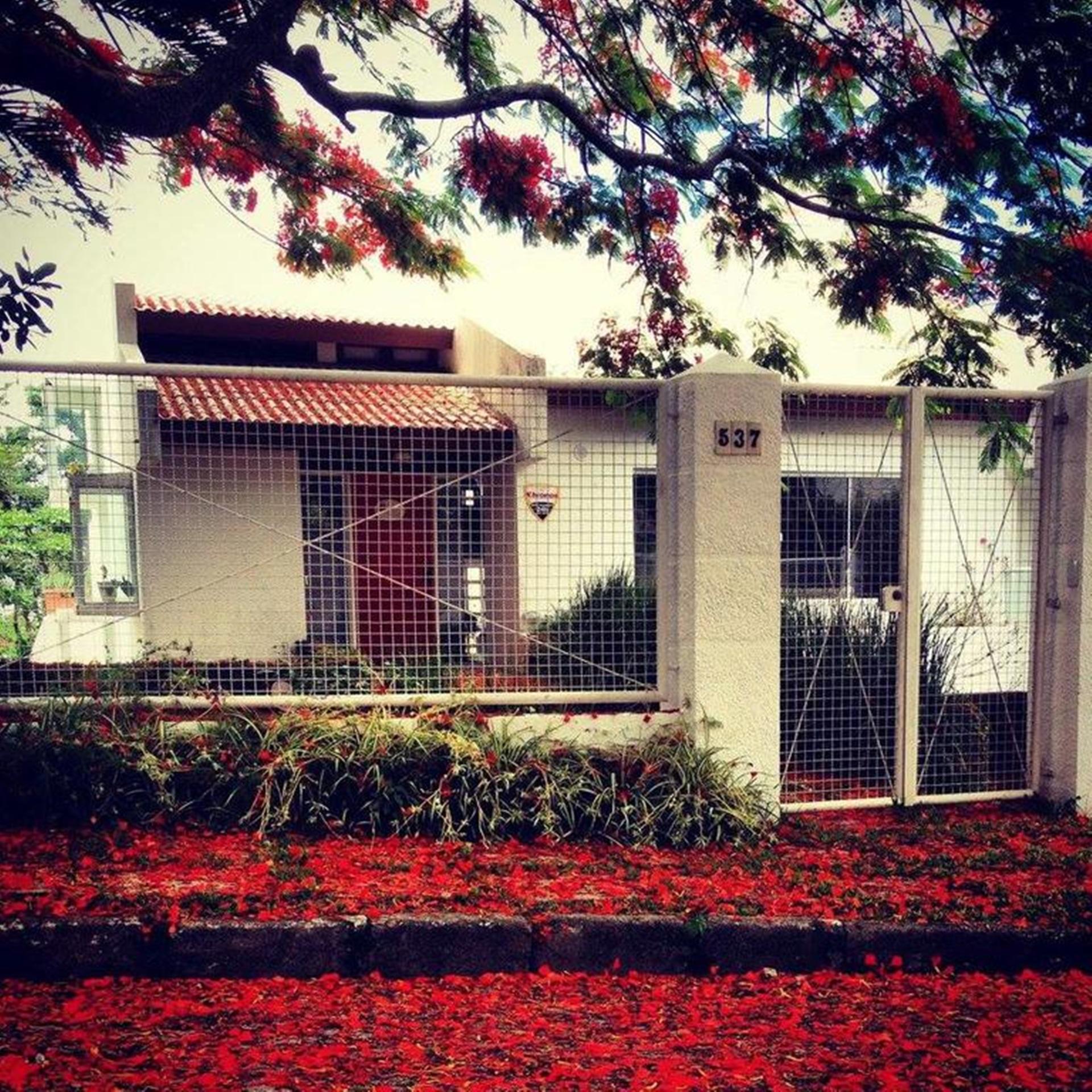 Flamboyant House — 4-Star Luxury Hotel in Florianopolis, Brasil