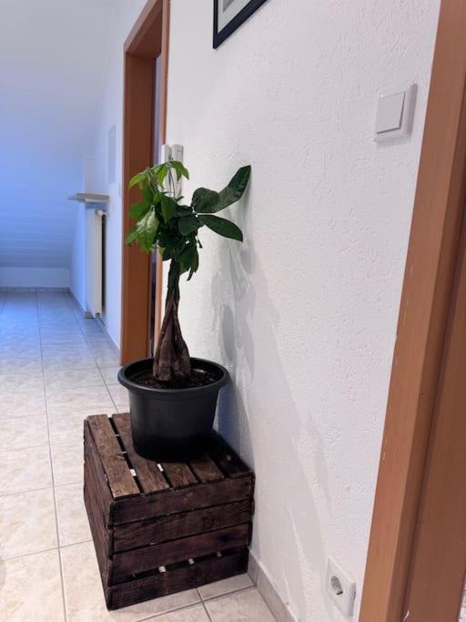 Casa Italia — Oberasbach — photo 2