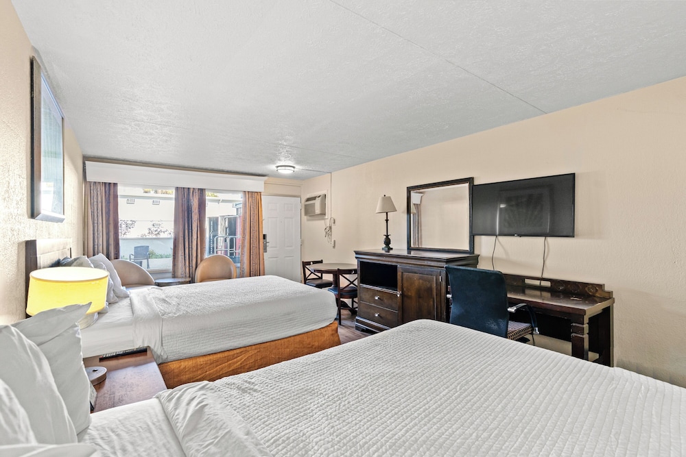 Ocean 5 Hotel - photo 7