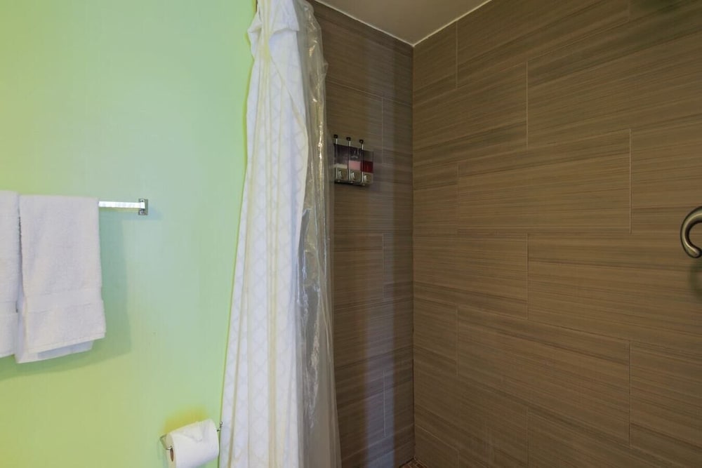 Gorgeous Studio 1bath Miami Beach 1 Block to the Ocean - photo 5