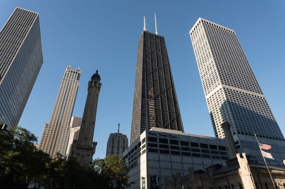 The Ritz Carlton Chicago - photo 98