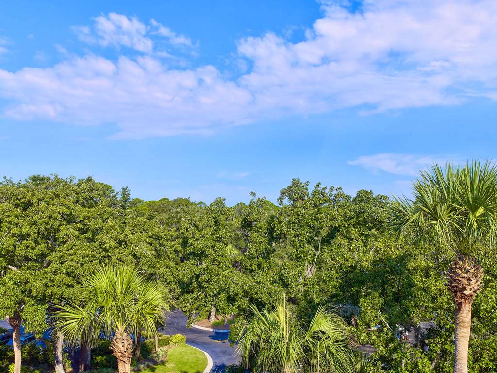 Sonesta Resort Hilton Head Island - photo 3