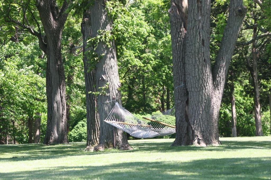 Great Oak Manor in Chestertown, United States