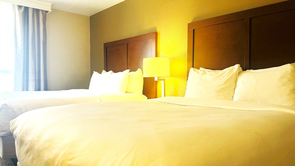 Comfort Inn Salt Lake City Downtown - photo 23