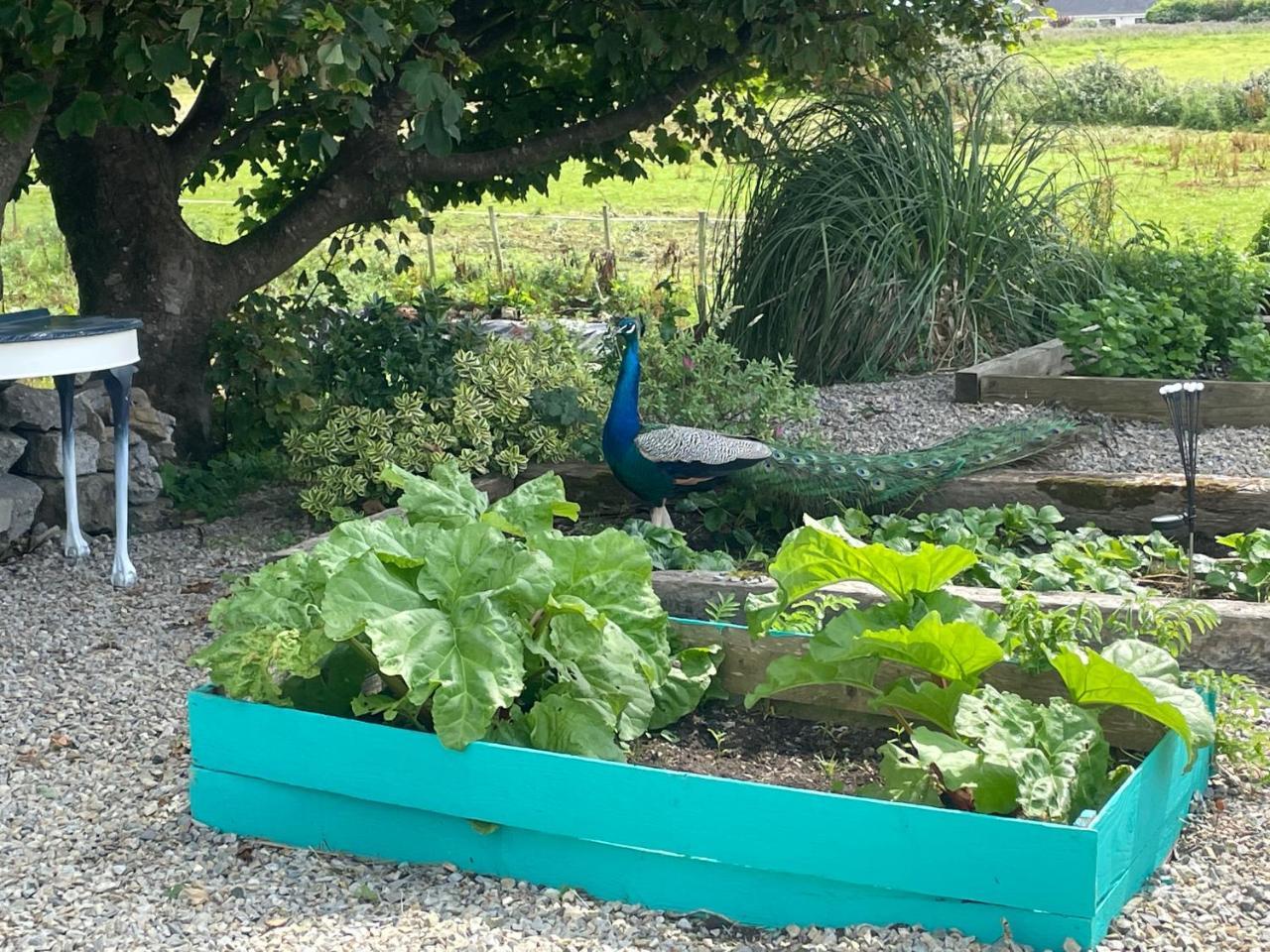 Family and pet friendly farm stay