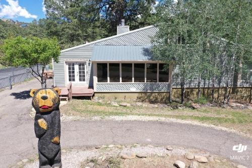 Puttington Bear in Ruidoso, United States