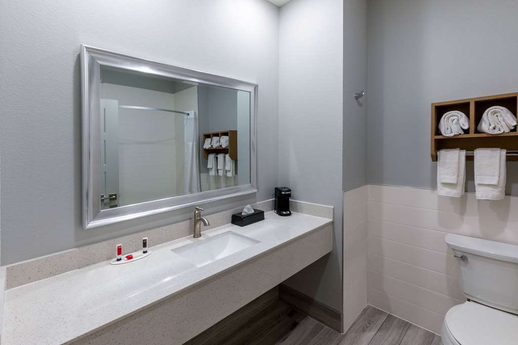 Days Inn & Suites by Wyndham Downtown University of Houston - photo 11