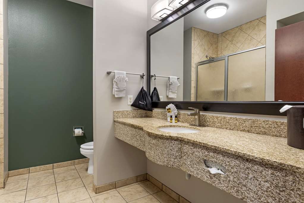 Best Western Plus Duncanville Dallas - photo 11