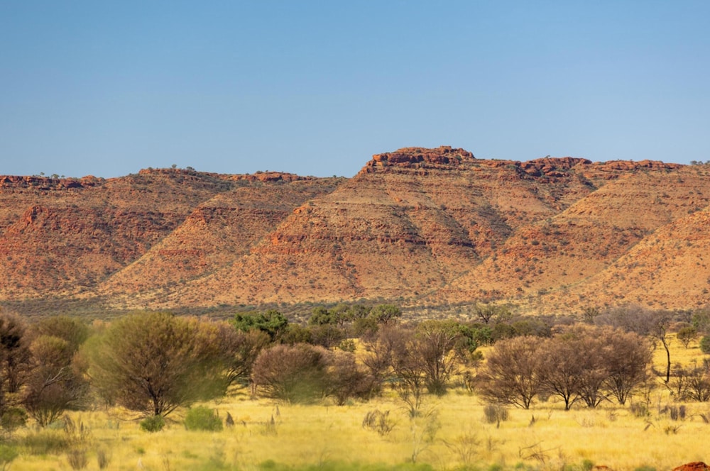 Discovery Resorts Kings Canyon in Oxenford, Australia