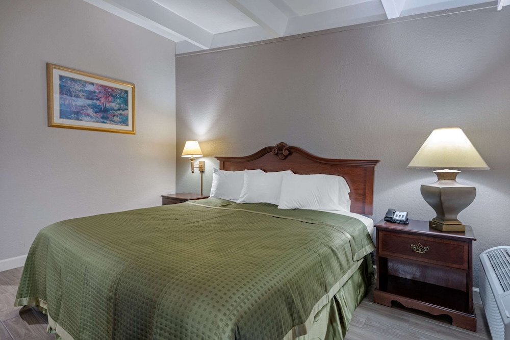 Rodeway Inn Clermont - photo 23
