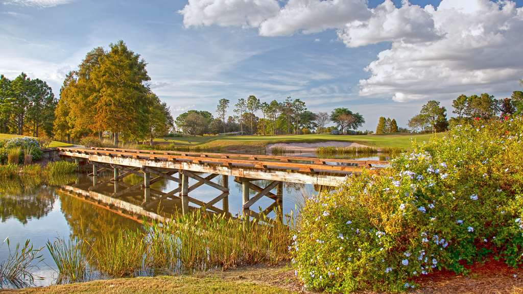 Rosen Shingle Creek - photo 95