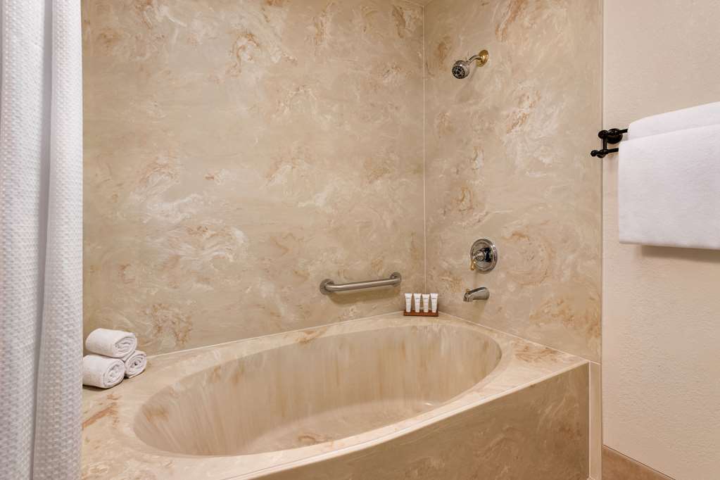 Radisson Hotel Colorado Springs Airport - photo 9