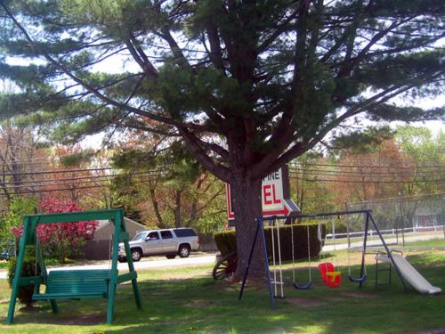 Knotty Pine Motel - photo 5