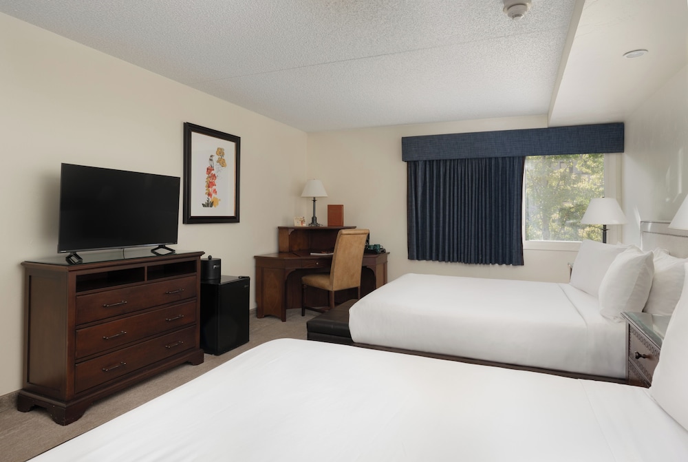 Evergreen Lodge at Vail - photo 12