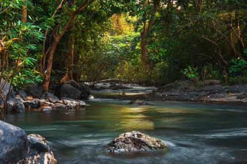 Vanaswara - carbon neutral hotel in Unknown City
