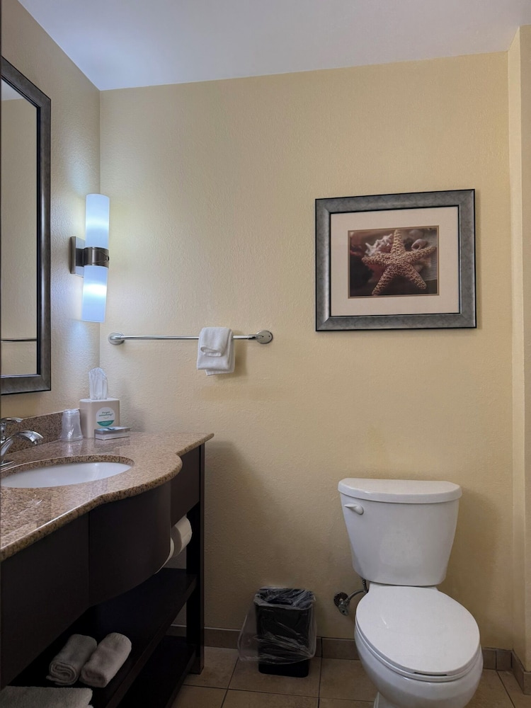 Holiday Inn Titusville Kennedy Space Center by IHG - photo 27