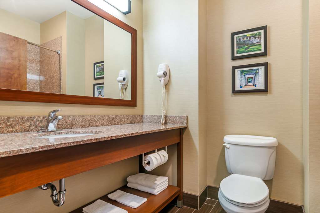 Comfort Suites Jefferson City - photo 12