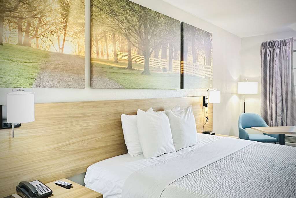 Days Inn by Wyndham WestEnd Alexandria VA Washington DC Area - photo 14