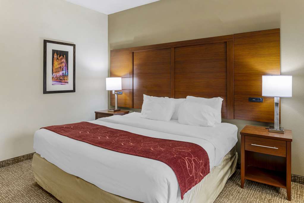 Comfort Suites At Virginia Center Commons - photo 33