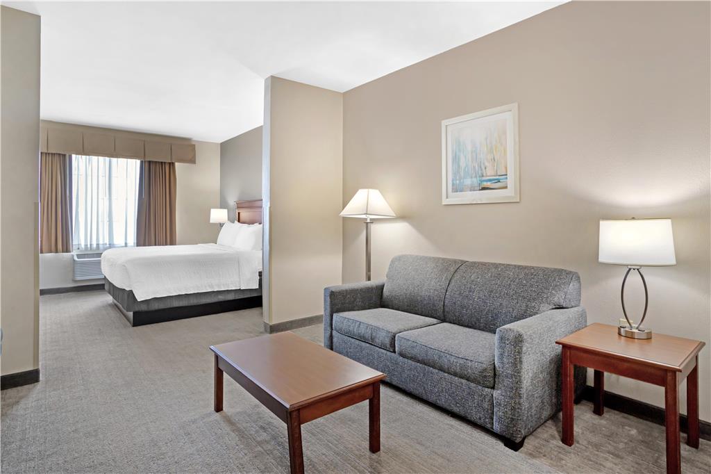 Best Western Plus Executive Hotel & Suites - photo 32