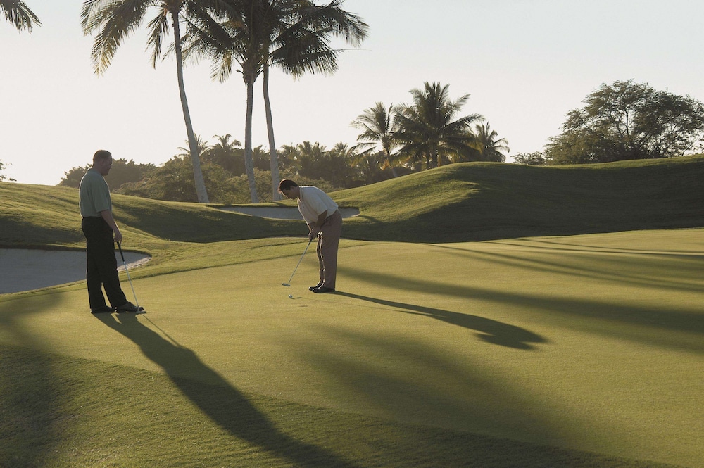 Fairmont Orchid - photo 87