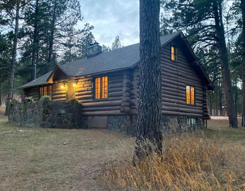 Historic Log Cabin #14 at Horse Creek Resort - photo 8