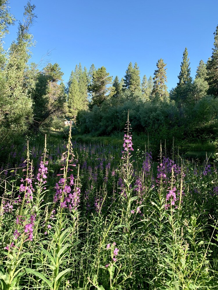 Crater Lake Resort - photo 86