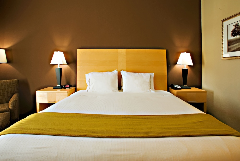 Holiday Inn Express & Suites Borger by IHG - photo 5