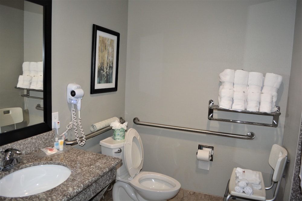 Comfort Suites at Katy Mills - photo 28