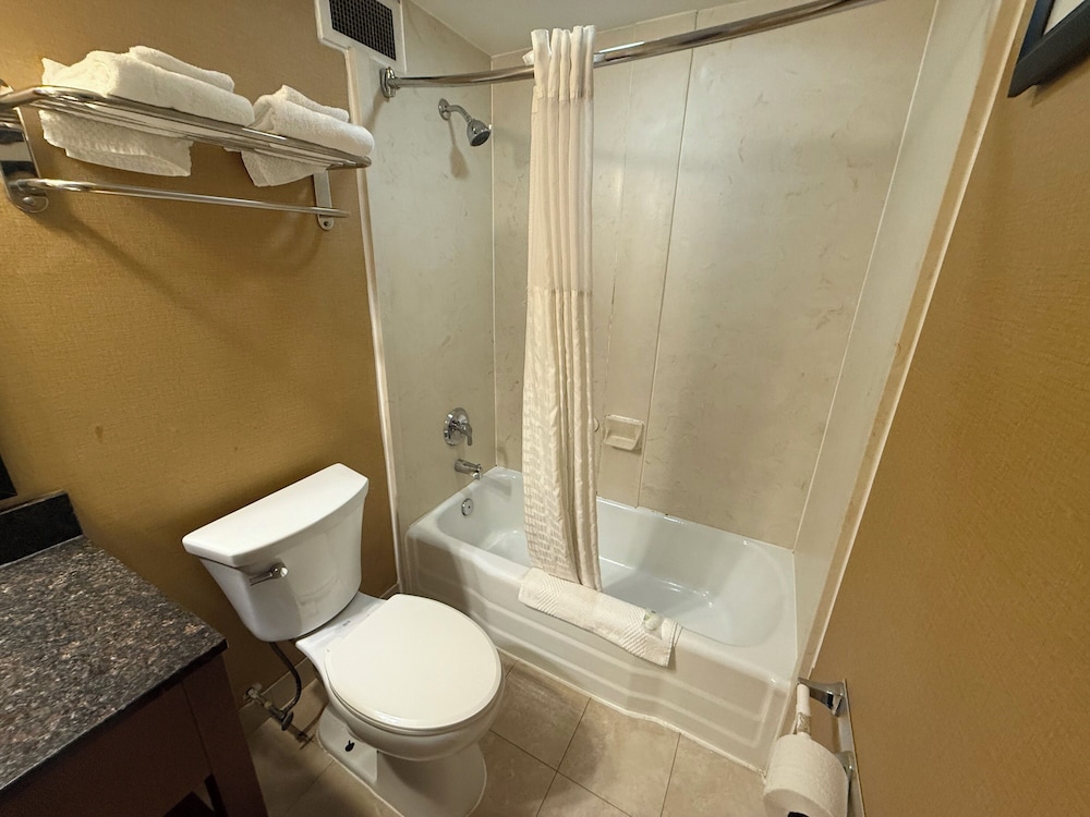 Hotel Hanna - photo 24