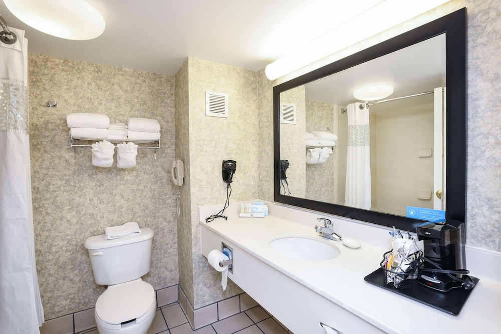 Hampton Inn Williamston - photo 8