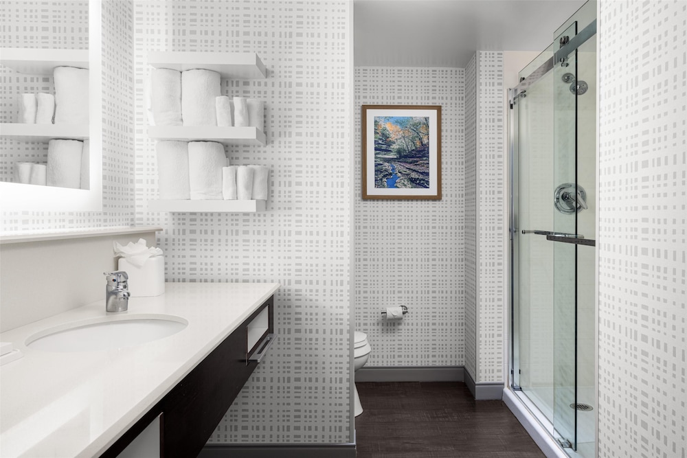 Hampton Inn Lexington Medical Center - photo 20