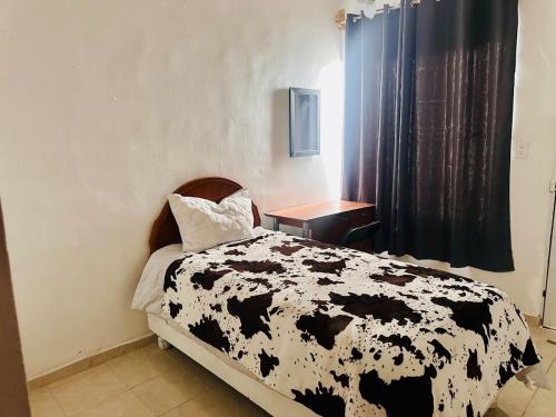 Alojamiento ideal — Torreon — photo 3