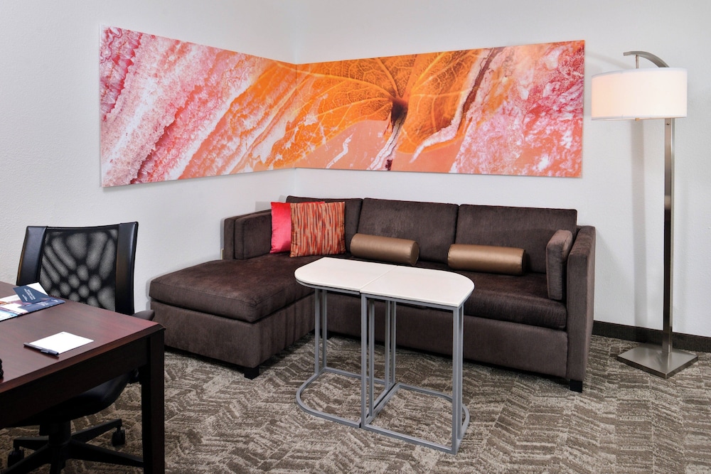 Springhill Suites by Marriott Oklahoma City Airport - photo 7